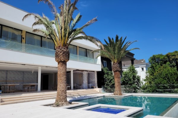 Foto de jardim em piscina mostrando duas palmeiras canariensis
