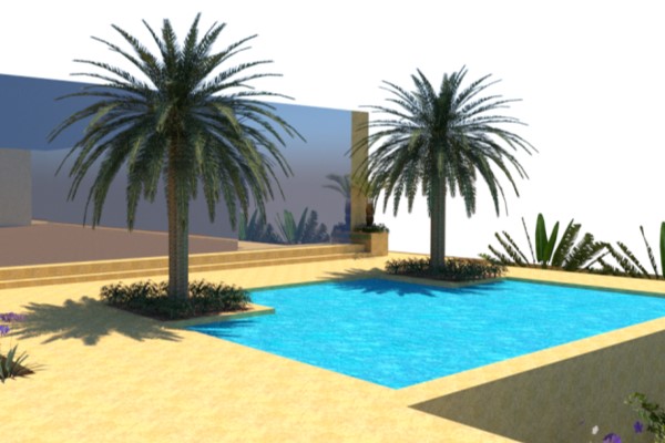 Desenho 3D de uma piscina com duas palmeiras canariensis